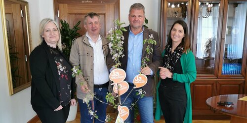 Inklusionsbaum in Spittal