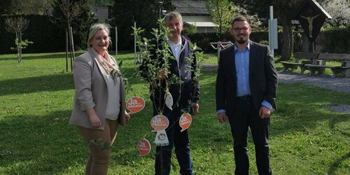 Inklusionsbaum in Ferlach